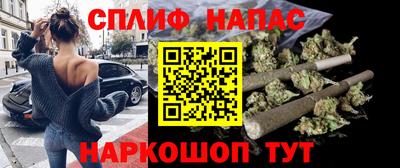 дживик Дубна