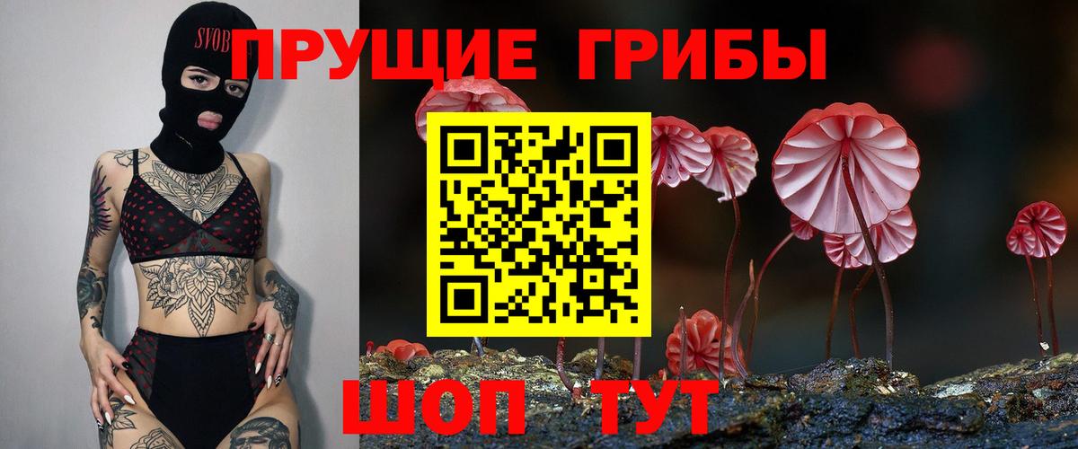 Псилоцибиновые грибы прущие грибы  Вход с VPN  Киров  Псилоцибиновые грибы Psilocybe 